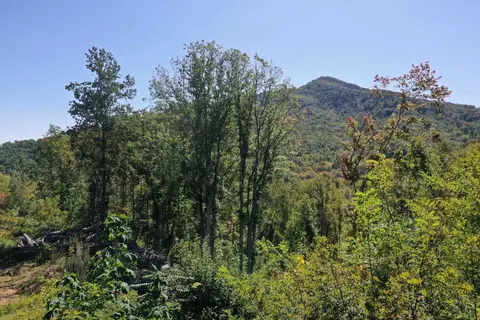 tbd Wagon Trail Rd, Monroe, VA 24574 photo 6
