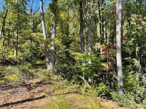 tbd Wagon Trail Rd, Monroe, VA 24574 photo 5