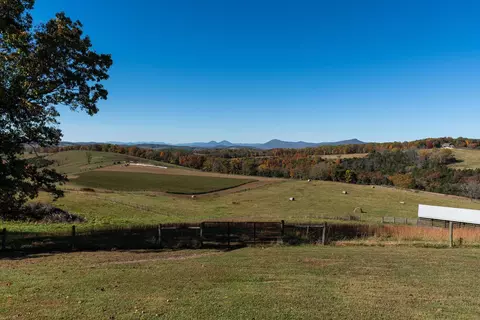 715 Gibbs Run Ln, Raphine, VA 24472 photo 45