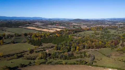 187 Todd Rd, Mount Sidney, VA 24467 photo 53