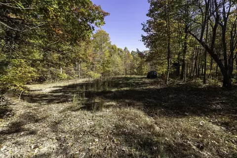 4332 Coal Rd, Stuarts Draft, VA 24477 photo 15
