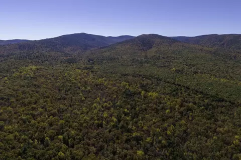 4332 Coal Rd, Stuarts Draft, VA 24477 photo 23