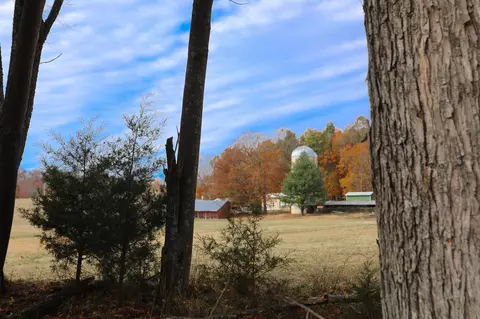 570 Mt Solon Rd, Mount Solon, VA 22843 photo 36