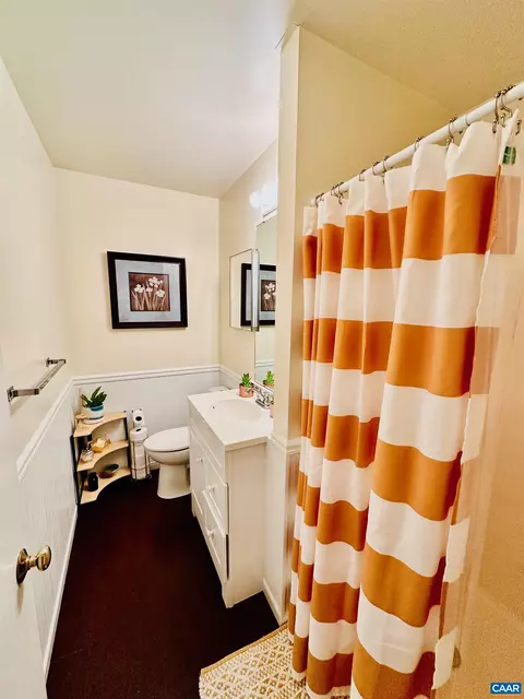 125 Blithe Ct, Charlottesville, VA 22901 photo 19