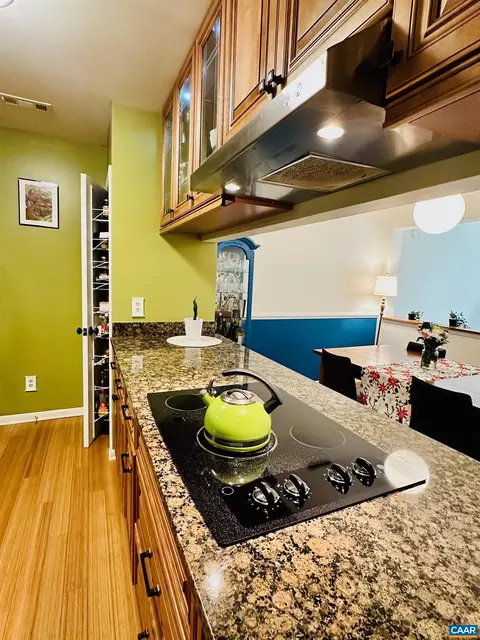 125 Blithe Ct, Charlottesville, VA 22901 photo 5