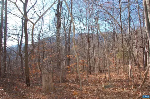 60 Scarlet Tanager, Nellysford, VA 22958