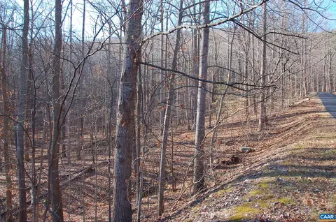 73 Crawfords Pt, Nellysford, VA 22958