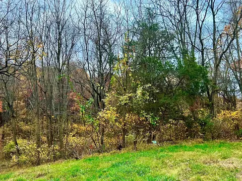 7 Milstead Ln, Mount Solon, VA 22843 photo 8