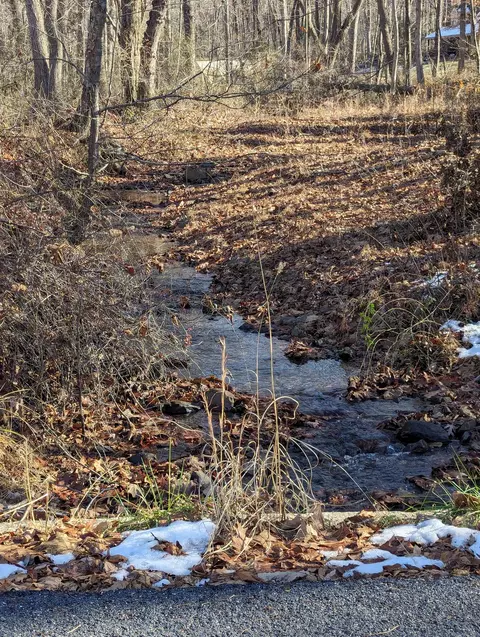 tbd Mine Branch Rd, Crimora, VA 24431