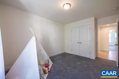1668 Delphi Dr, Charlottesville, VA 22911 photo 46