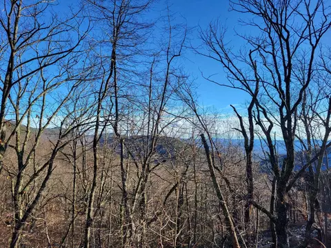 Tbd Wilson Way, Mcgaheysville, VA 22840