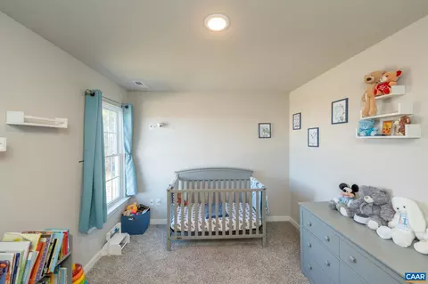 1147 Courthouse Rd, Palmyra, VA 22963 photo 21