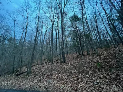 00 Moffett Branch Rd, Churchville, VA 24421