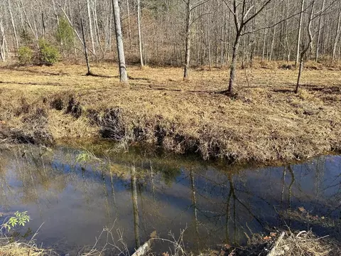 tbd Goldmine Ln, Schuyler, VA 22969