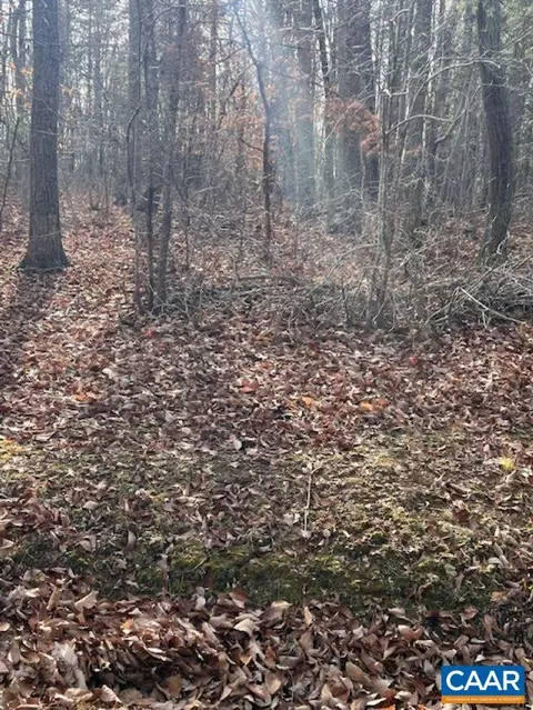 Union Church Rd, Palmyra, VA 22963