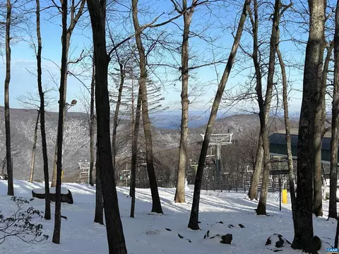 328 Dobie Condos, Wintergreen, VA 22967