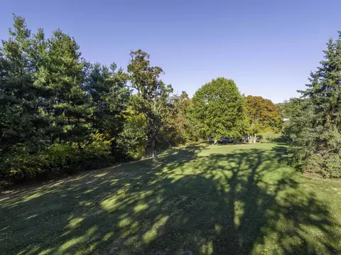 1135 Georgetown Rd, Mount Jackson, VA 22842 photo 25