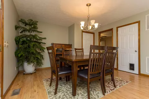 334 Divide Ln, Mathias, WV 26812 photo 6