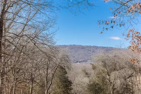 334 Divide Ln, Mathias, WV 26812 photo 55