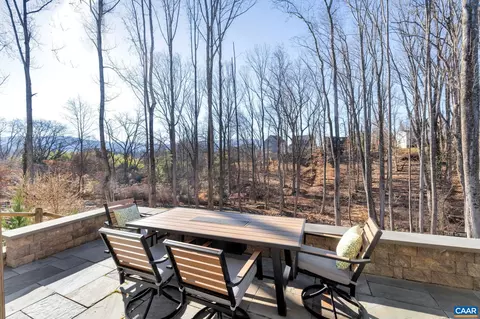113 Paynes Mill Rd, Charlottesville, VA 22902 photo 55