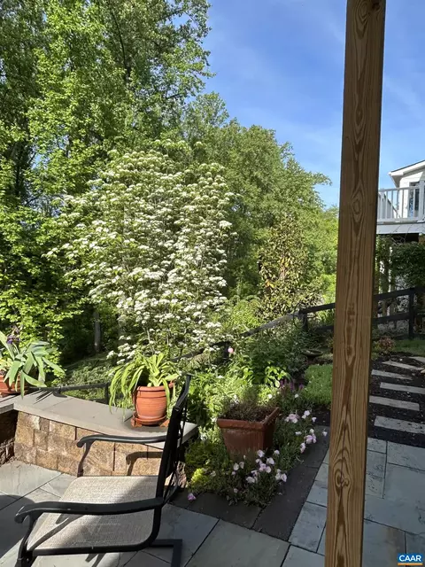 113 Paynes Mill Rd, Charlottesville, VA 22902 photo 64