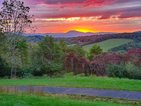 View/Area - 106 Merrick Ln, Raphine, VA 24472 photo 4 of 7