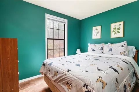 437 B King St #B, Basye, VA 22810 photo 13