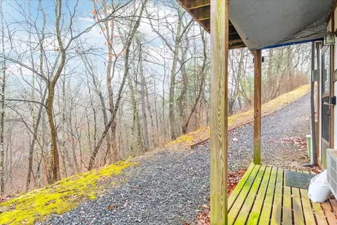 437 B King St #B, Basye, VA 22810 photo 32