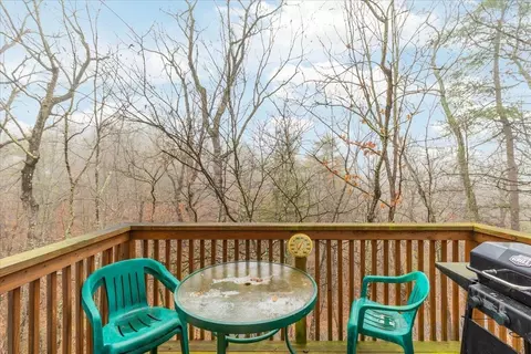 437 B King St #B, Basye, VA 22810 photo 11
