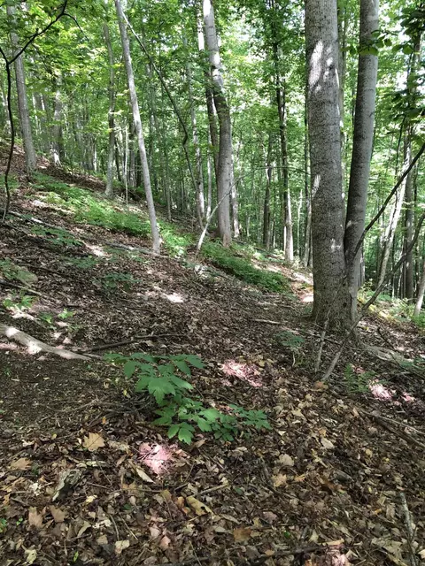 Tbd Walker Hills Trl, Glasgow, VA 24555
