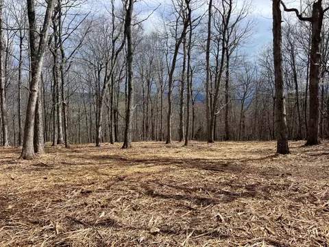 tbd Peaksview Dr, Williamsville, VA 24487