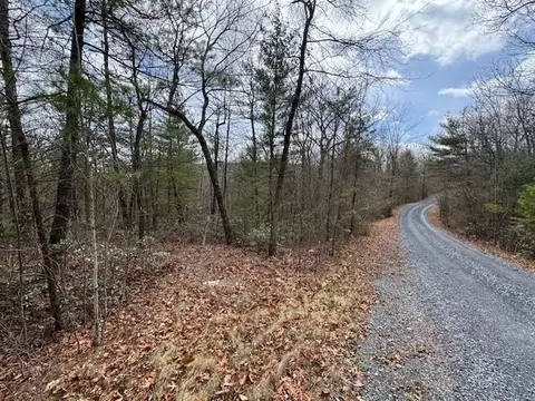 lot45 Fetterbush Ln, Hinton, VA 22831
