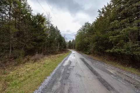 tbd Forest Dr, Stanley, VA 22851 photo 16