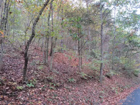 0 Stonewall Dr, Basye, VA 22810 photo 4