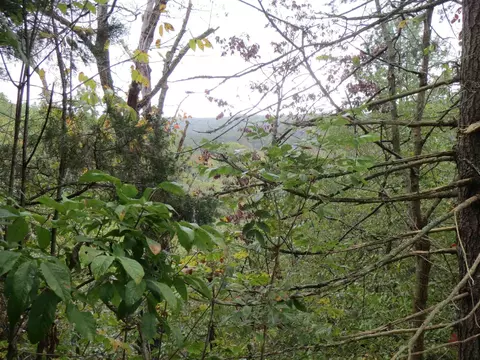 0 Stonewall Dr, Basye, VA 22810 photo 9