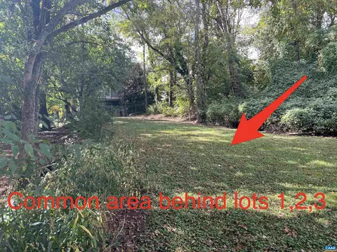 296 Riverside Ave, Charlottesville, VA 22902 photo 7