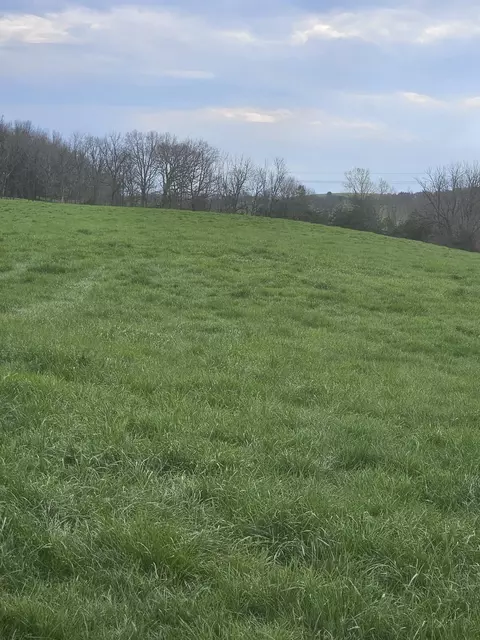 Tbd Wise Hollow Rd, Bridgewater, VA 22812