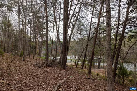 447 Jefferson Dr, Palmyra, VA 22963 photo 53