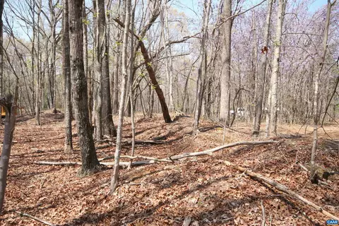 Tbd Pond Rd, Buckingham, VA 23921 photo 17