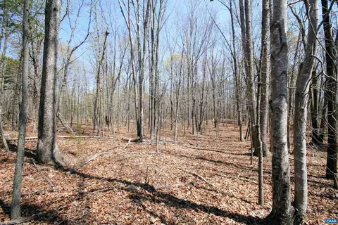 Tbd Pond Rd, Buckingham, VA 23921 photo 32