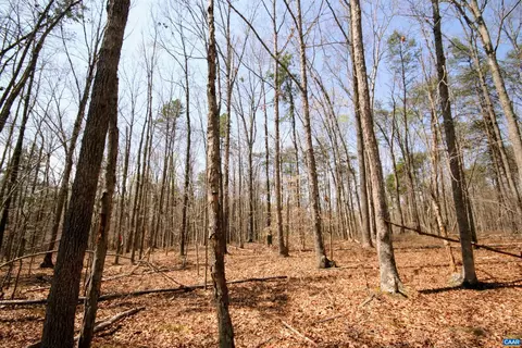Tbd Pond Rd, Buckingham, VA 23921 photo 24