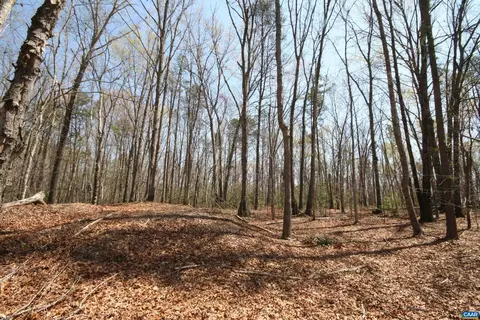 Tbd Pond Rd, Buckingham, VA 23921 photo 31