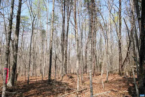 Tbd Pond Rd, Buckingham, VA 23921 photo 27