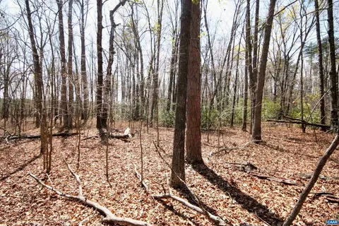 Tbd Pond Rd, Buckingham, VA 23921 photo 20