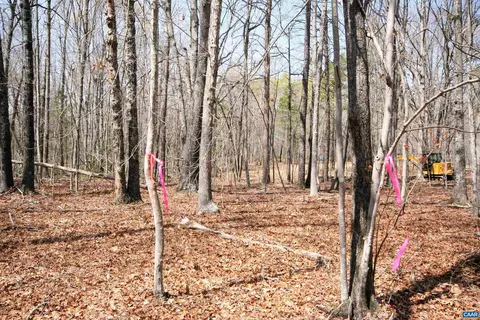 Tbd Pond Rd, Buckingham, VA 23921 photo 18