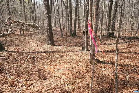 Tbd Pond Rd, Buckingham, VA 23921 photo 29