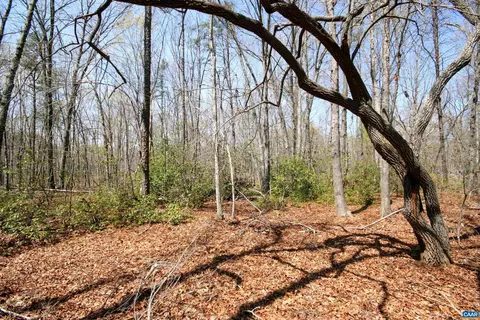Tbd Pond Rd, Buckingham, VA 23921 photo 30