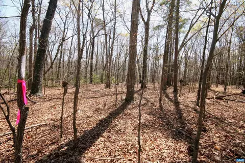 Tbd Pond Rd, Buckingham, VA 23921 photo 12