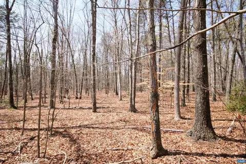 Tbd Pond Rd, Buckingham, VA 23921 photo 22