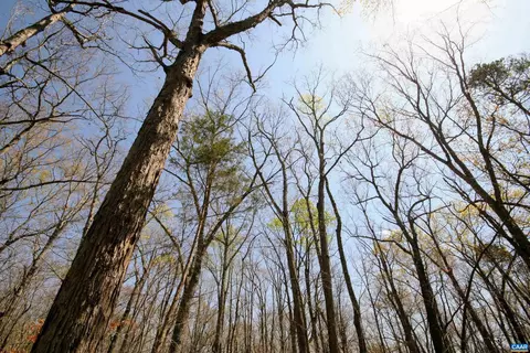 Tbd Pond Rd, Buckingham, VA 23921 photo 11